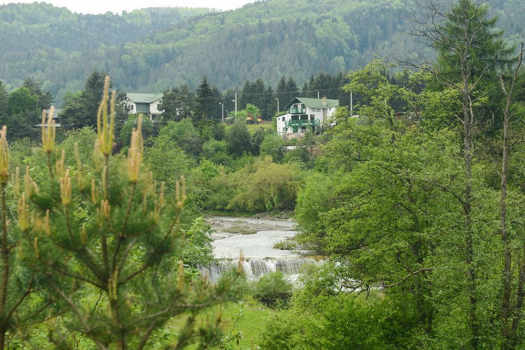 Vila Horia Bradet Săcele Εξωτερικό φωτογραφία