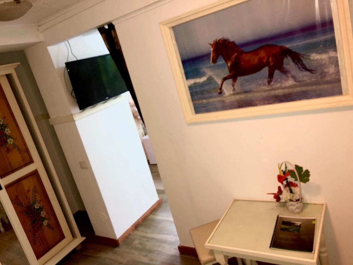 Vila Horia Bradet Săcele Εξωτερικό φωτογραφία